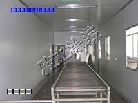 網(wǎng)帶輸送線
